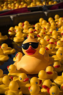 Duck Bling Game