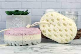 Soap Sponge Small